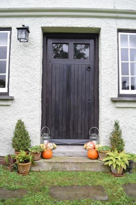 Cedra Cottage - Vintage Country Hideaway Аксминстър Екстериор снимка